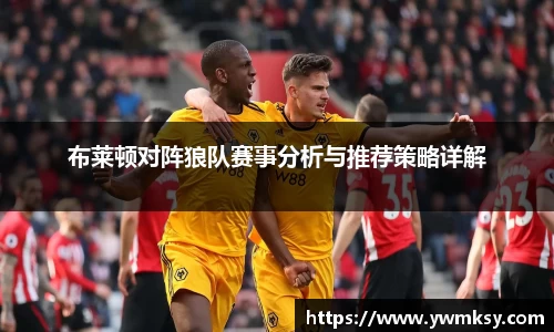 xk星空官方网
